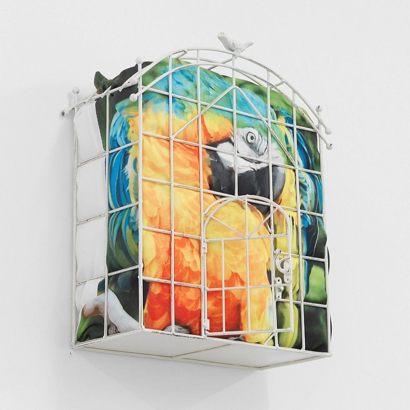 parrot.zip, 2015